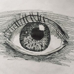 Meet your Posher, Elsa